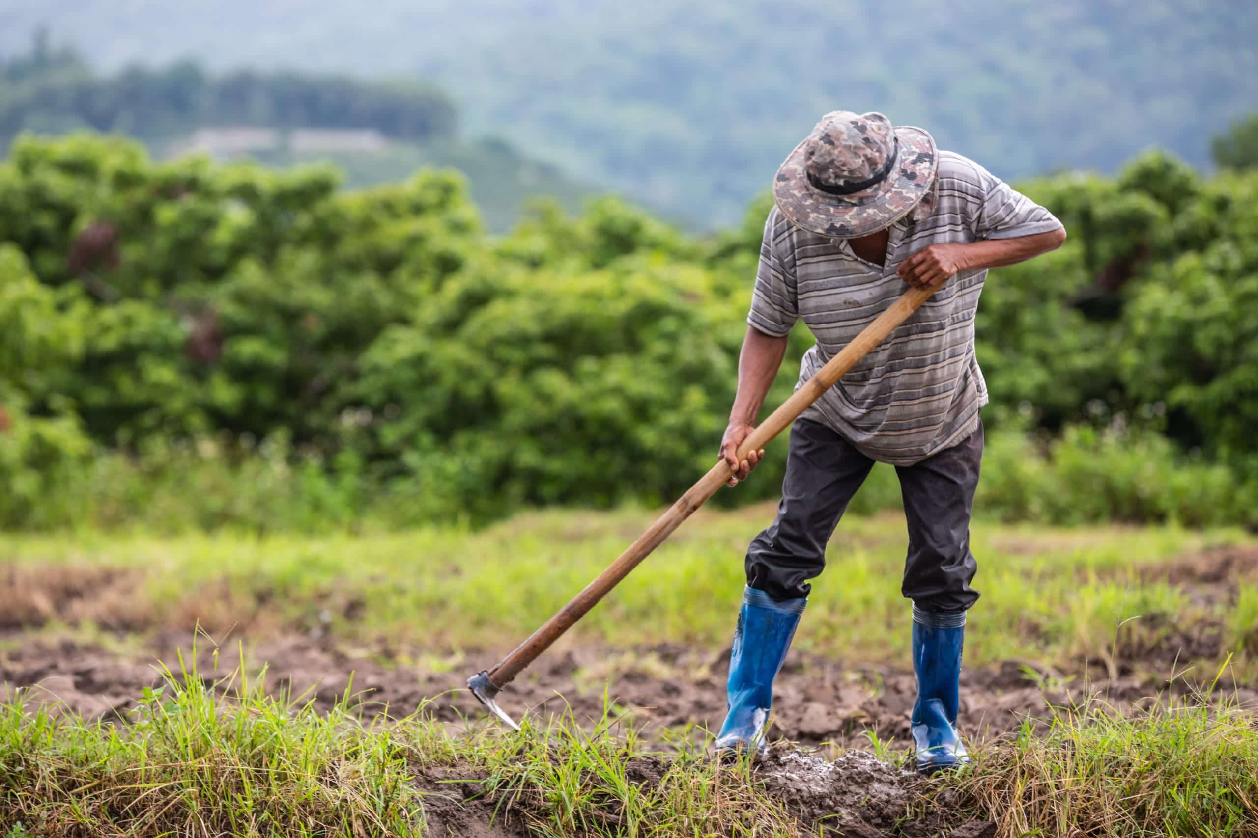Reforma pensional: campesinos, afros e ind&iacute;genas podr&iacute;an pensionarse de forma anticipada