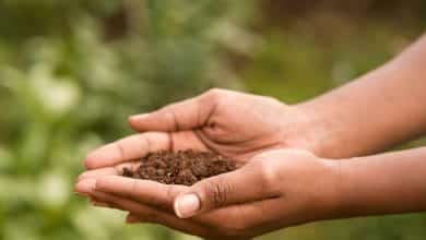 &ldquo;Como tierra&rdquo; Este es el s&iacute;ndrome que padece reconocida influencer