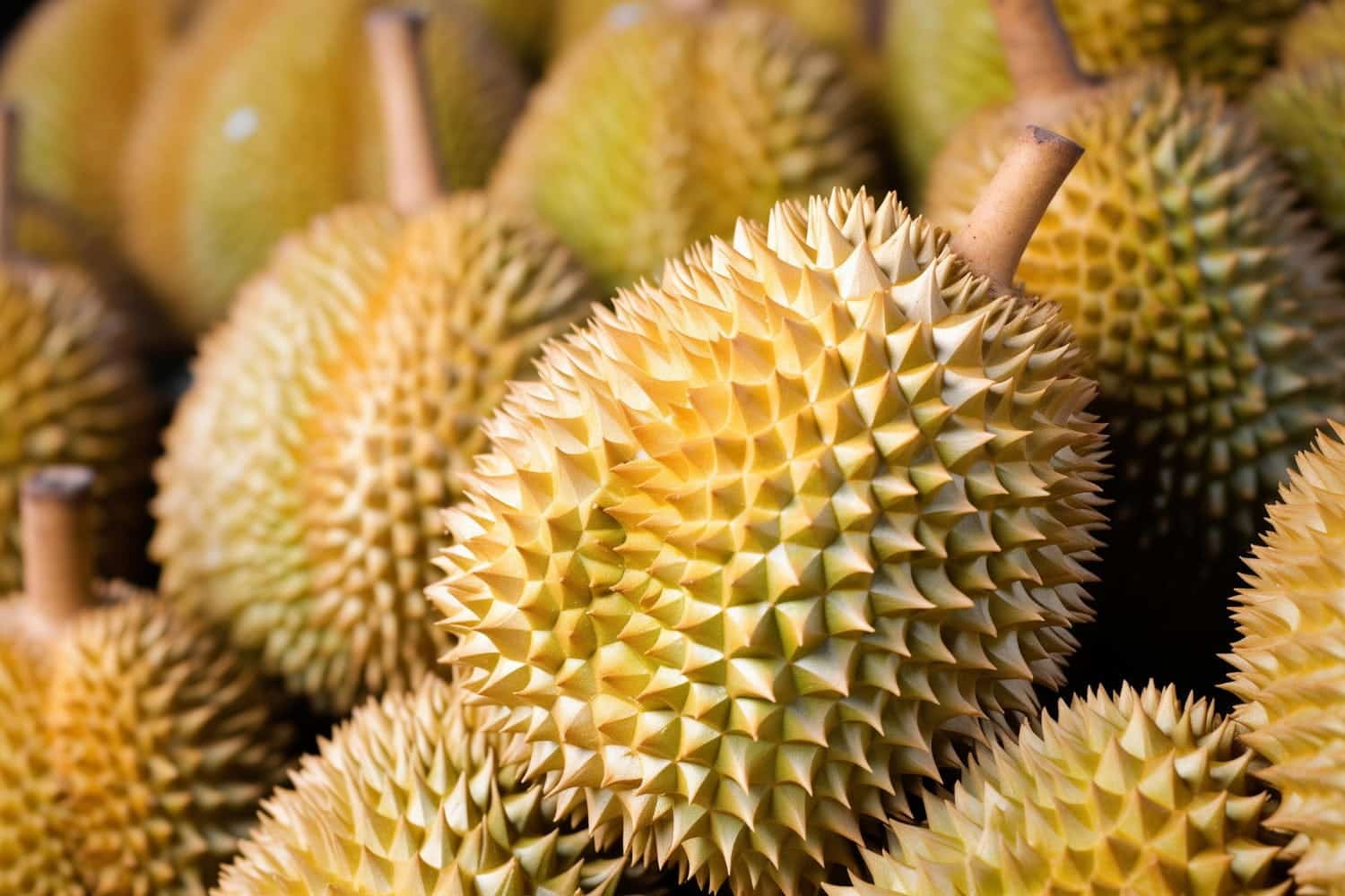 Esta es la ex&oacute;tica fruta que prohibieron en hoteles, aviones y transporte p&uacute;blico