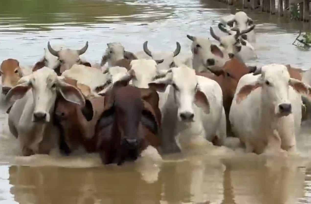 La ONU se pronunci&oacute; sobre emergencia que se vive en La Mojana