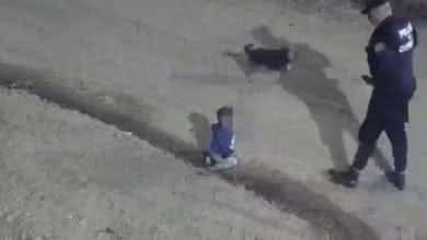 Video: Beb&eacute; apareci&oacute; gateando en plena calle y este fue el ins&oacute;lito argumento de su padre