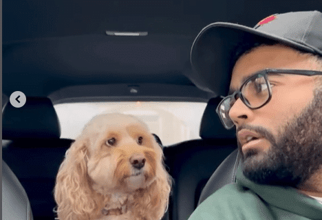 el perro que sabe sumar video viral