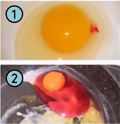 Líquido rojo en sus huevos