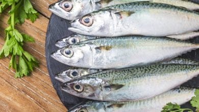 Comer este pescado 2 veces a la semana ayuda a prevenir enfermedades del cerebro