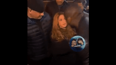 Video: Fan intent&oacute; besar a Shakira