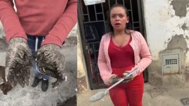 La triste historia de 'la mujer &aacute;rbol' de Bucaramanga