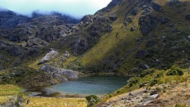 Colombia gan&oacute; millonaria demanda a minera canadiense