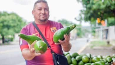Ofrecen cr&eacute;ditos de hasta $4 millones con intereses subsidiados para acabar con el "gota a gota"