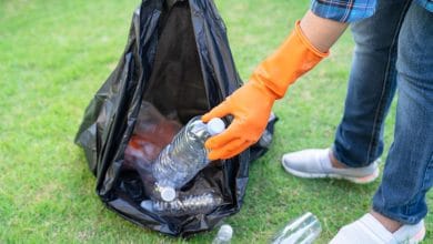 Prohibici&oacute;n de pl&aacute;sticos de un solo uso: &iquest;Qu&eacute; pasar&aacute; con las bolsas de la basura?
