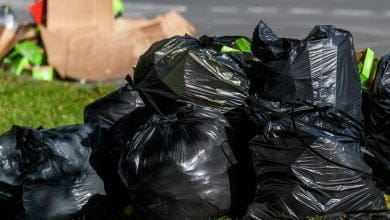 Prohibici&oacute;n de pl&aacute;sticos de un solo uso: &iquest;Qu&eacute; pasar&aacute; con las bolsas de la basura?
