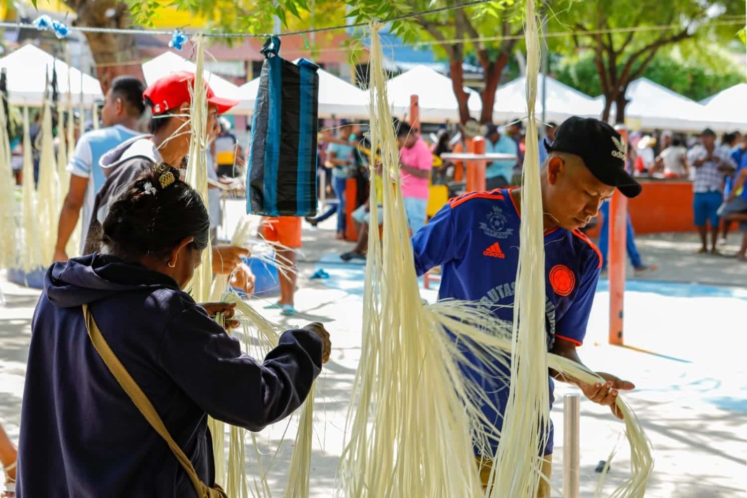 Prosperidad Social incrementar&aacute; incentivos a estos hogares: pasa de $906.000 a $1.350.000