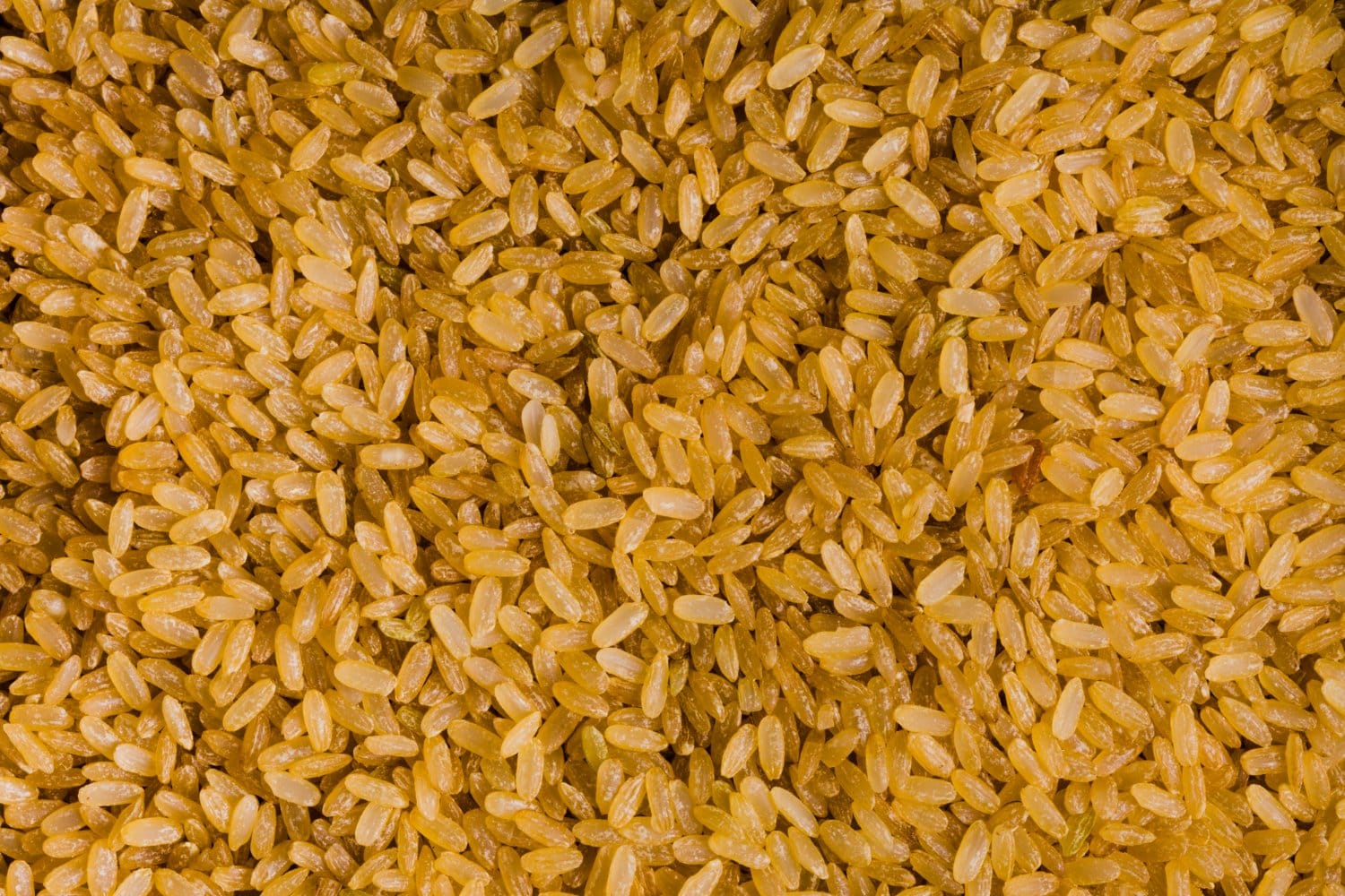 arroz integral