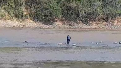 Hallaron a ni&ntilde;a de 13 a&ntilde;os desmembrada en el r&iacute;o Magdalena