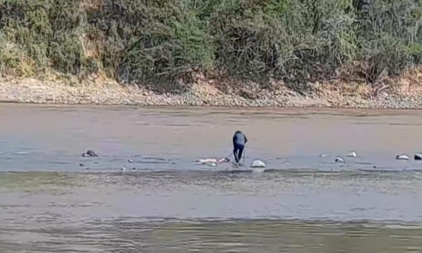 Hallaron a ni&ntilde;a de 13 a&ntilde;os desmembrada en el r&iacute;o Magdalena