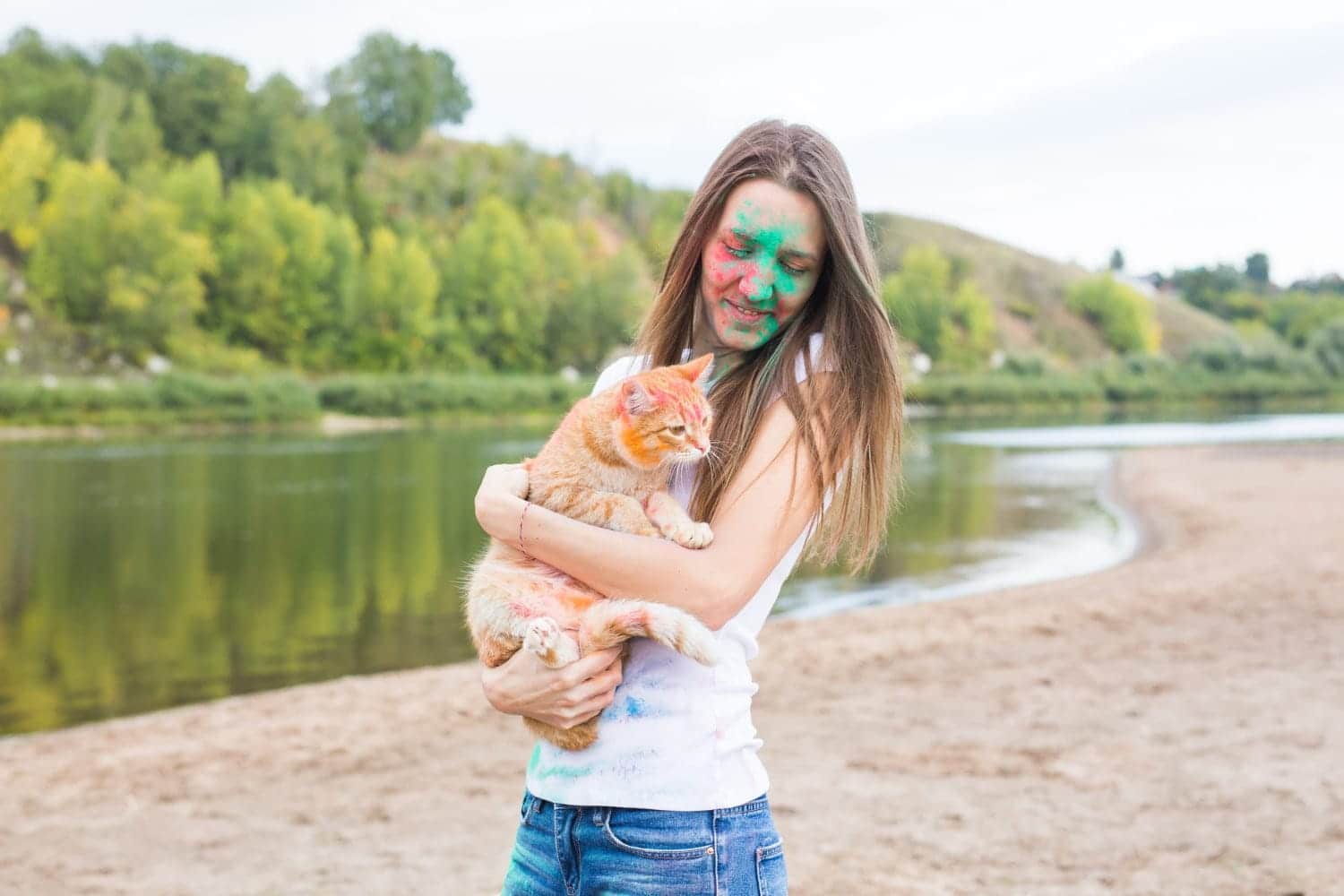 &iquest;C&oacute;mo tranquilizar a un gato durante un viaje largo