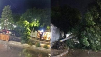 Declaran calamidad p&uacute;blica en Barranquilla tras vendaval del 16 de septiembre