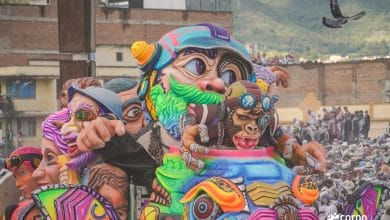 En im&aacute;genes: Carnaval de Negros y Blancos volvi&oacute; a maravillar a Colombia