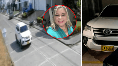 La arrollaron por reclamarle al conductor de una camioneta el haberle ultimado a su perro