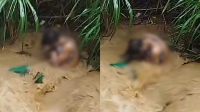 Atroz crimen de una mujer trans estremece a Colombia