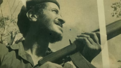 Avance clave en la búsqueda del padre Camilo Torres