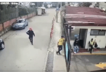 sin senos s&iacute; hay para&iacute;so