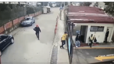 sin senos s&iacute; hay para&iacute;so