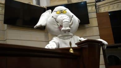 De las redes al Senado: &lsquo;Elefante Blanco&rsquo; abre convocatoria para su equipo