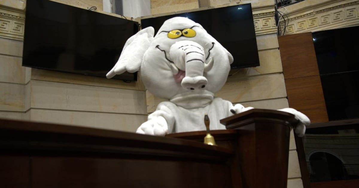De las redes al Senado: &lsquo;Elefante Blanco&rsquo; abre convocatoria para su equipo
