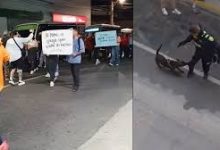 Un polic&iacute;a le quit&oacute; la vida a un perro en medio de procedimiento judicial en Antioquia