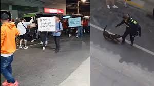 Un polic&iacute;a le quit&oacute; la vida a un perro en medio de procedimiento judicial en Antioquia