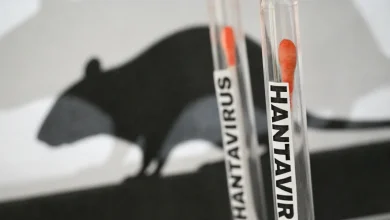 Atrapados en altamar: miedo, incertidumbre y un virus mantienen en vilo a pasajeros de un crucero