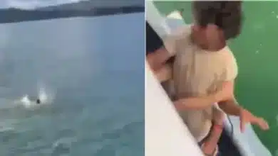 guatap&eacute;