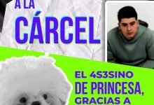 Env&iacute;an a prisi&oacute;n a hombre se&ntilde;alado de lanzar una perrita desde un octavo piso en Risaralda