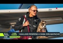 &iquest;Qu&eacute; hace un mapache disecado con Haaland? El curioso recuerdo que se llev&oacute; del Mundial y cu&aacute;nto cuesta