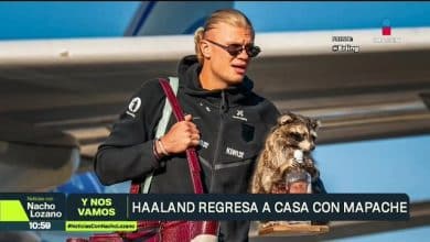 &iquest;Qu&eacute; hace un mapache disecado con Haaland? El curioso recuerdo que se llev&oacute; del Mundial y cu&aacute;nto cuesta