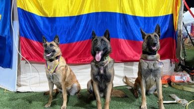 H&eacute;roes de cuatro patas: Venezuela reconoce la labor de perros rescatistas colombianos tras el terremoto